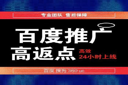 百度推广优化策略：成功案例解析